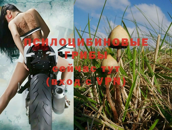 кокс Аркадак