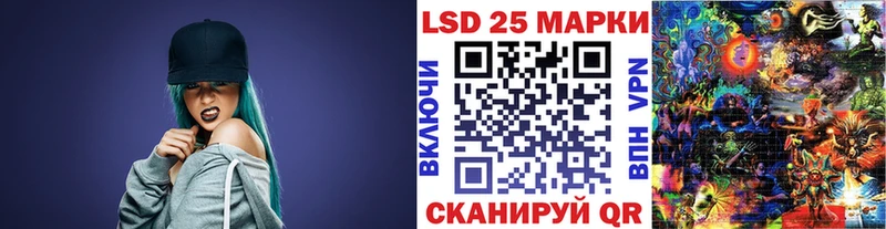 OMG tor Сокол Марки N-bome 1500мкг